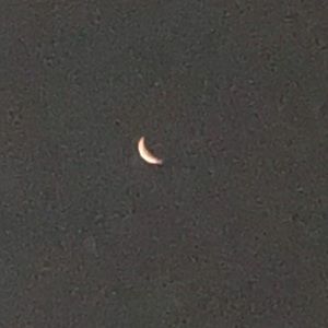 Meet your Posher, Denise